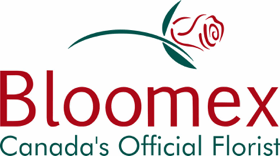 Bloomex_logo.png